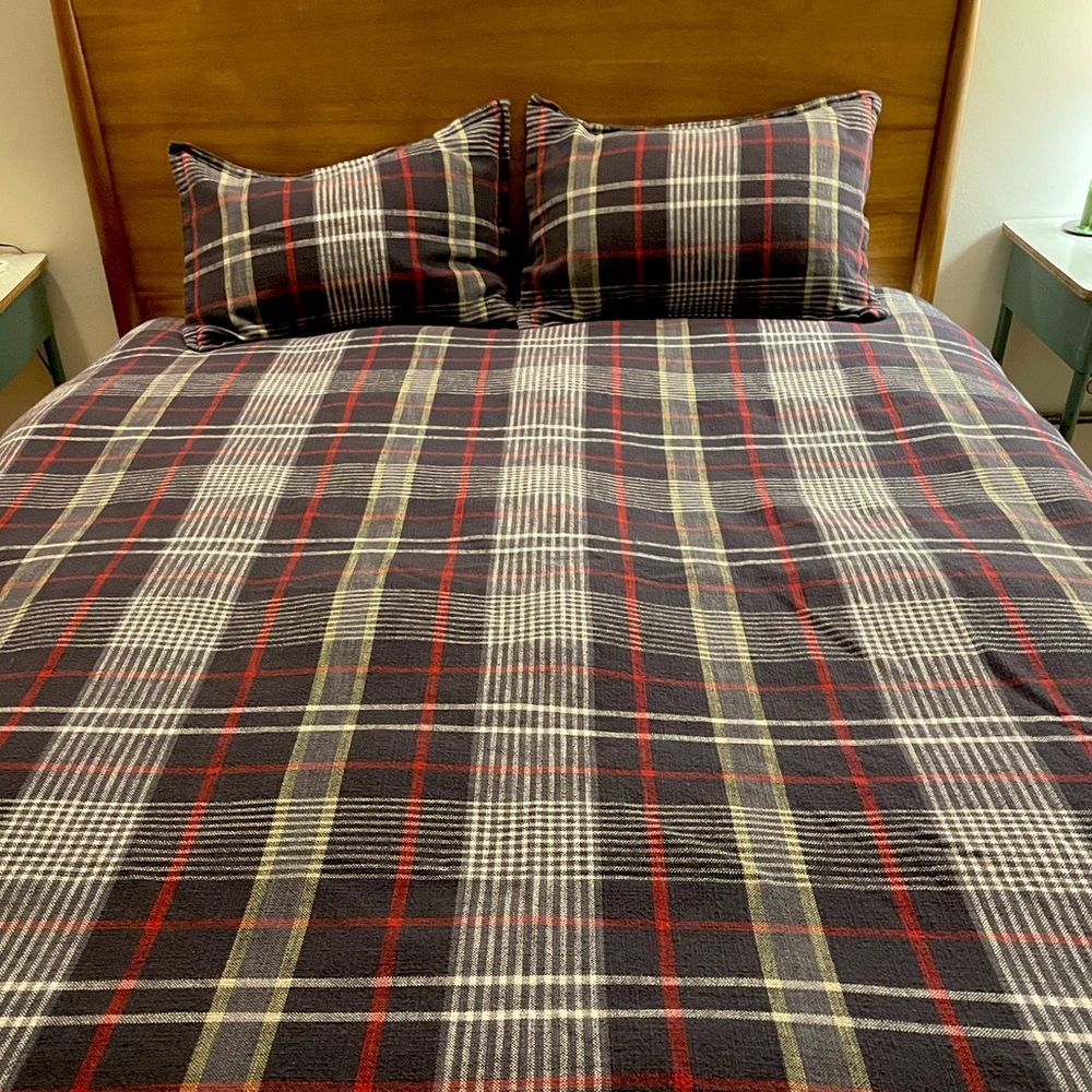 Pottery Barn Queen Duvet and Pillow Cases